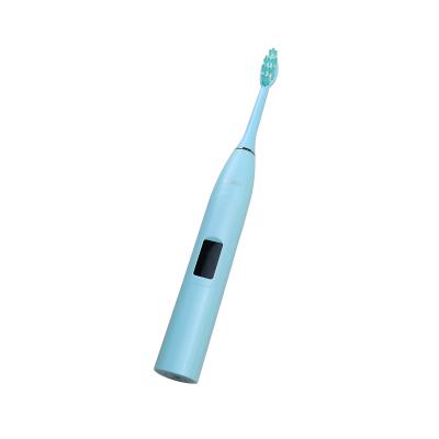 China SF-V4 Beauty Electric Toothbrush China Quality Electric Toothbrush Blue Fine Price for sale