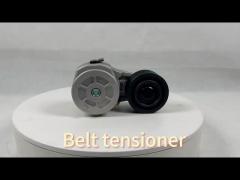 Belt tensioner C3936213