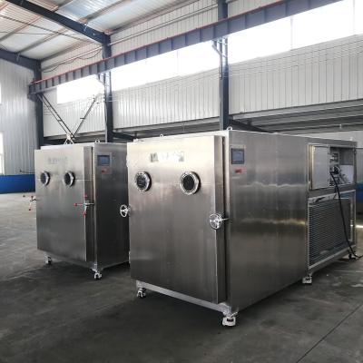 China food & Beverage factory food grade fruit freeze drying machine grape lychee vacuum freeze dryer for sale for sale