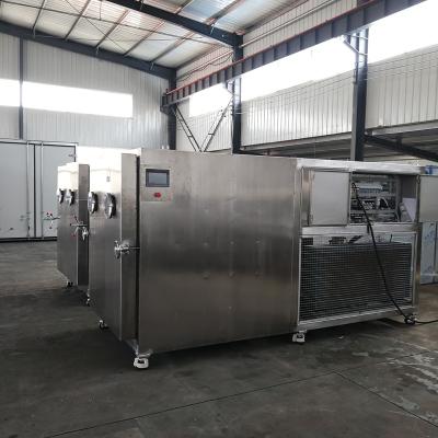 China food & High Quality Beverage Factory Vacuum Dryer Food Freeze Dryer Industry Freeze Drying Machine Price for sale