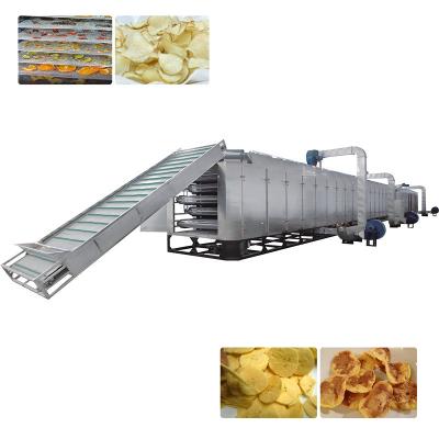 China Food Processing Industry Food Garlic Belt Ginger Drying Machine Garlic Belt Drier Equipment For Sale for sale