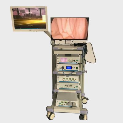 China Whole Solution of Laparoscopy Laparoscopy Endoscopy System for Africa Hospital for sale