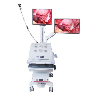 China Real Metal Simulation Training System Endoscopy Practice Modules and Instruments Professional Endoscopic Professional Medical Education for sale