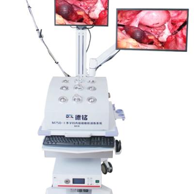 China Multifunctional metal endoscopy silmulator training system for sale