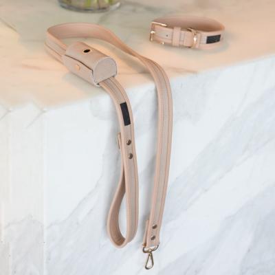 China 2021 Viable Accessories Dog Leash Pu Dog Poop Bag Holder Leather Custom Dog Collar for sale