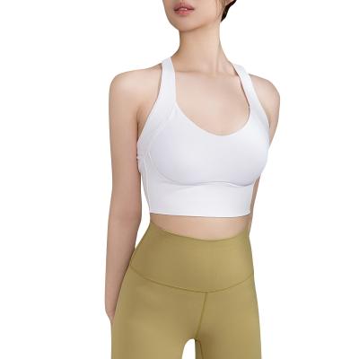 China Breathable Fashion Solid Color Ladies New Casual Yoga Bra Sports Use Adult Fitness Clothing Custom Shirts L for sale