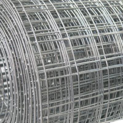 China Factory Price Industrial Construction 2'x2 Galvanized Welded Wire Mesh for sale