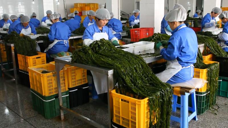 Verified China supplier - Time Seafood (Dalian) Co., Ltd.