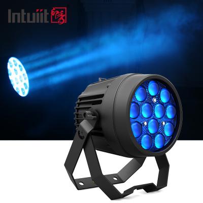 China Indoor 12x10W RGBW LED Par Can Stage Light IP65 DJ LED Zoom Par Light for sale