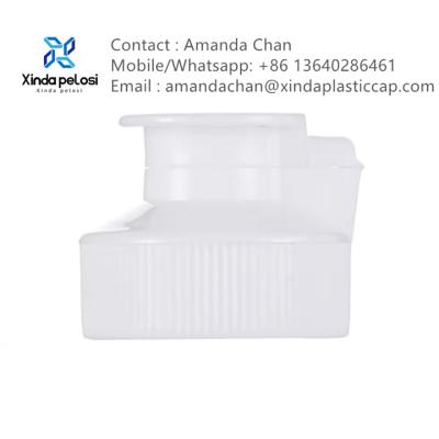 China Screw Flip Top Cap Plastic Flip Cover Lid For Cosmetic Shampoo Lotion Bottle for sale