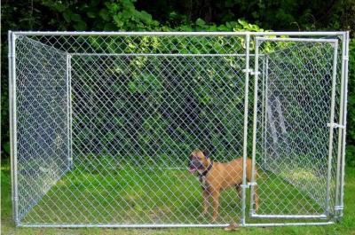 China Cenile para perros galvanizado de metal pesado al aire libre 2x2x3M Enlace de cadena Cenile para perros grandes en venta