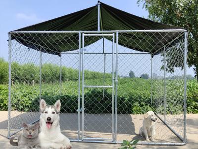 China Hot Dip Galvanized Dog Kennels 6FT Chain Link Dog Kennel Außenlaufkäfig zu verkaufen