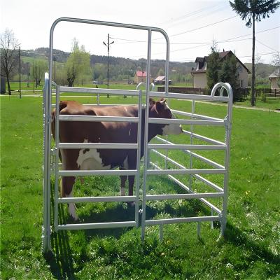 China 2.4M American Livestock Cattle Corral Fencing Round Pipe Style Cattle Fencing Panel Te koop