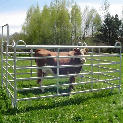 China 12 Fuß galvanisierte geschweißte Gartenzaun-Panel Viehzucht Pferdefarm Zaun zu verkaufen