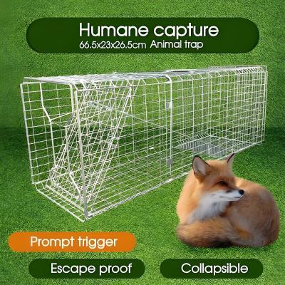 China Heavy Duty Humane Hunting Snare Netting Cage 40