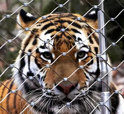 中国 304 316 316L ステンレス鋼鉄線ロープ網 鳥居動物園網 販売のため