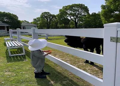 China 2 Schienenpferde Weidelandschaft Gartenbau Korrosionsschutz Vinyl Ranch Schienenzaun zu verkaufen