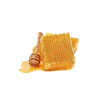 China 100% Pure Natural Best Quality Nectar Honeycomb Single Bee Hive OEM Top Private Taste Large for sale