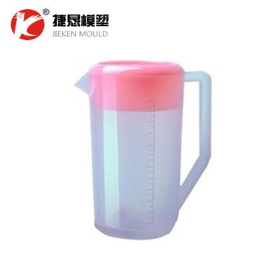 China 2018 High Quality Plastic Steel 20ltr Water Pot Mold Injection for sale