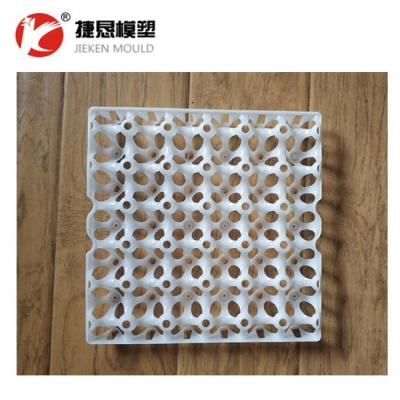 China Steel Customized Plastic Egg Tray Mold Mold Maker for sale