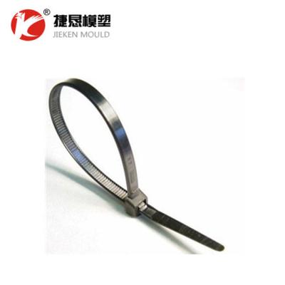 China Steel Customized High Quality Nylon Cable Tie Mold Mold Taizhou Supplier for sale