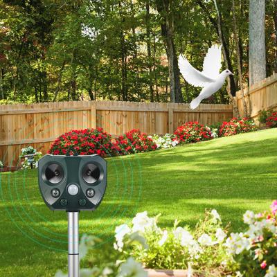 China Viable New Style Garden Protective Bird Cat Stop Electronic Ultrasonic Pest Effective Reflector for sale