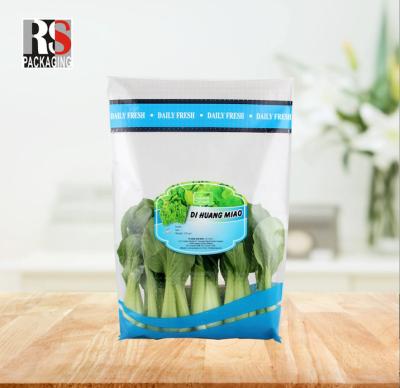 China Vegetables And Fruits Micro Perforared Bag Good Air And Moisture Permeability for sale