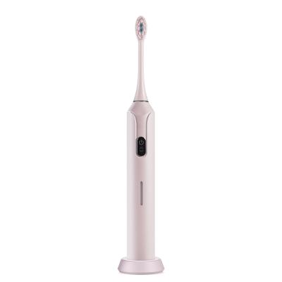 China Cheap Rechargeable T5 Battery Rechargeable Adult Electric Toothbrush Sonic Toothbrush Waterproof Factory for sale