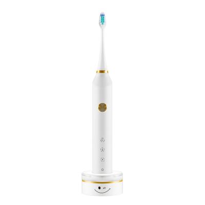 China Rechaegeable Powered Soft Bristle T4 Rechargeable Sonic Electric Toothbrush Factory Kids Baby Children Kids Vibrating Cute Toothbrush Automatic for sale