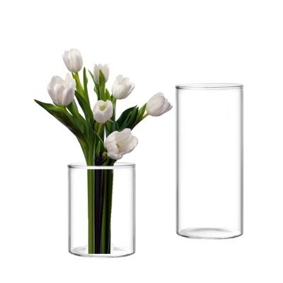 China Cylinder Borosilicate Glass Vases Decorative 10cm/20cm/30cm Heat Resistant Shade for sale