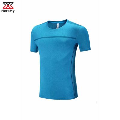 China Breathable High Quality Sporty Dry Fit Sports Wear T Shirt Mens Workout Gym T-Shirts for sale