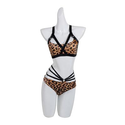 China Top& Hot Selling Satin Fabric Lower Sexy Bra Ladies Workout Fitness Tops Plus Size Low Waist Leopard Cosplay Pants Pole Dance Wear for sale