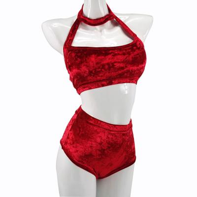 China Top& Selling Velvet Women Bottom Hot Red Crop Top Pole High Waist Pants Sexy Ladies Yoga Set Exotic Dance Wear for sale