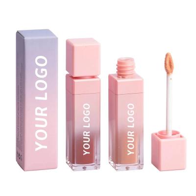 China Wholesale Lipstick Makeup Sunscreen Velvet Shimmer Color Lip Gloss Private Label Waterproof Nude Custom Your Logo Wands Tube Lipgoss Makeup for sale