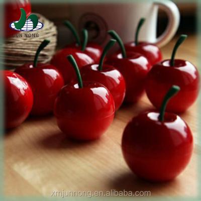 China Hot Selling Good Taste Pure Canned Acerola Canned Cherry for sale