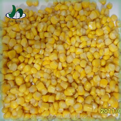 China Fresh canned healthy corn for sale