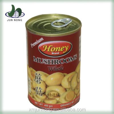 China Fresh Natural Newcomer Canned Food Fresh Delicate White Mushroom for sale