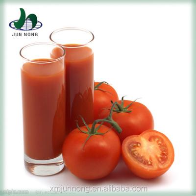 China Newer Production Latest Crop Top Quality Fresh Tomato Tin Packing Canned Italian Tomato Sauce for sale