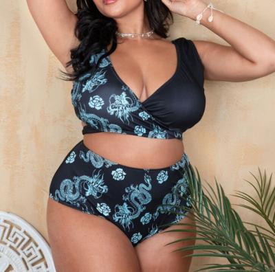 China Custom Wholesale New Plus Size Sexy Two Piece Bikini Set Plus Size Front Cross Swimsuit Women Fitness Tops Beach Wear Swimwear for sale