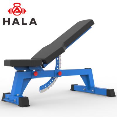 China HALA-FB-1001 Modern Adjustable Dumbbell Sit Weight Bench Leather Fitness Body Metal Metal OEM Unisex Style for sale