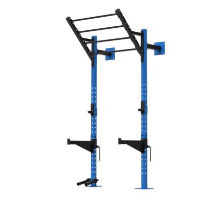 China HALA-LY069 Multi-Function Living Room Wall Mounted Squat Rack Pull Up Station Installation for sale