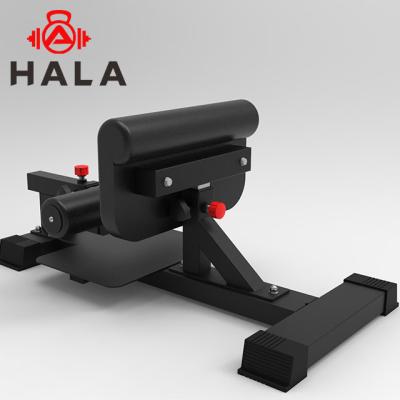 China Universal commercial gym ghd multi equipment HALA-MB-1904 extension bench hyper reverse exercise bench for sale