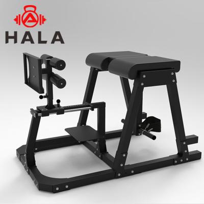 China Universal commercial gym ghd multi equipment HALA-MB-2003 hyper reverse extension bench exercise bench for sale