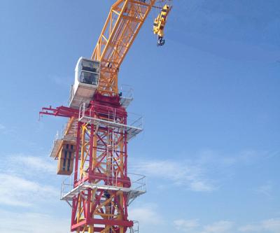 China Small Mast Section Tower Crane 10 Ton Max Load And 60m Jib Length for sale