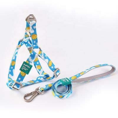 China Personalized Dog Lead Rope Vest Style Chest Harness Small Medium Dog Leash Dog Walking Chain for sale