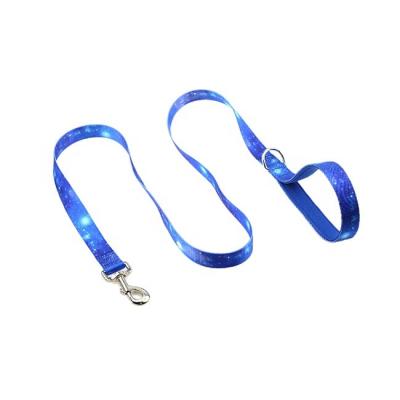 China Custom Small Medium Dog Leash Extended Walking Leash for sale