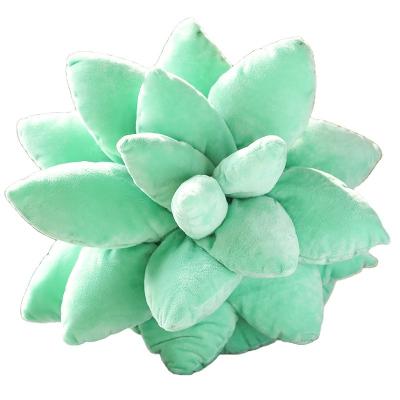 China Custom Soft Plush OEM/ODM Factories Succulent Vegetable Pretend Simulation Factories Stuffed Plush Cushion Pillow for sale