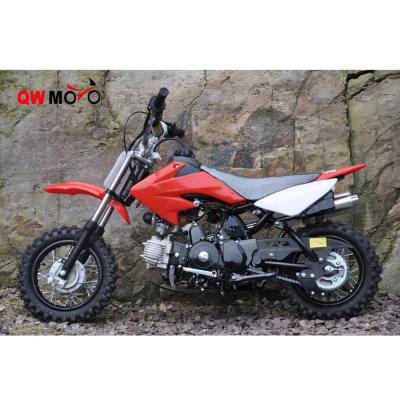 China 50cc Automatic Dirt Bike 4 Strokes Engine Kids Pit Bike For Beginner QWDB-03 QWMOTO 10