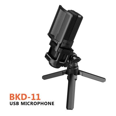 China Professional 2022 USB Microphone OEM MIC Factory Recording Microfono Streaming USB Condenser Microphone Kit for sale