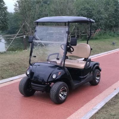 China 2 seat small electric golfcart for sale 2.5x1.2x1.71m for sale